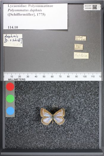 Media type: image;   Entomology 53829
